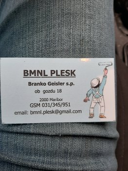 Bmnl Plesk, Branko Geisler s.p. - Logotip