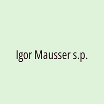 Igor Mausser s.p. - Logotip