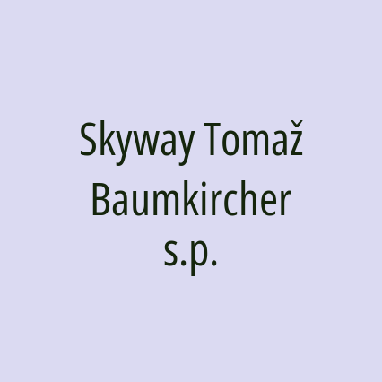 Skyway Tomaž Baumkircher s.p. - Logotip