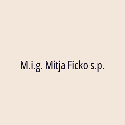 M.i.g. Mitja Ficko s.p.