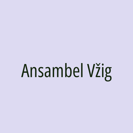 Ansambel Vžig