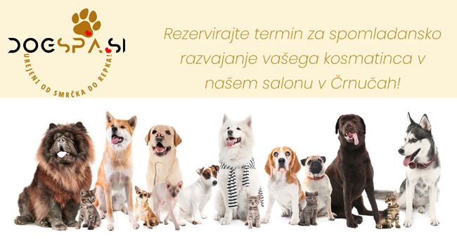 Pasji salon Dogspa.si - Logotip