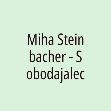 Miha Steinbacher - Sobodajalec