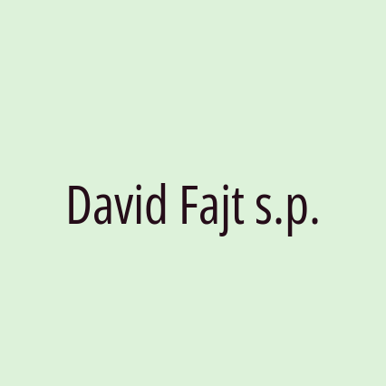 David Fajt s.p.