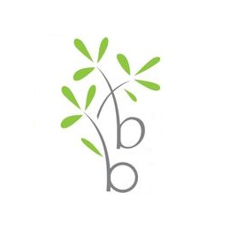 Bioresonanca Breza Vesna Tomšič s.p. - Logotip