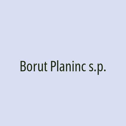 Borut Planinc s.p.