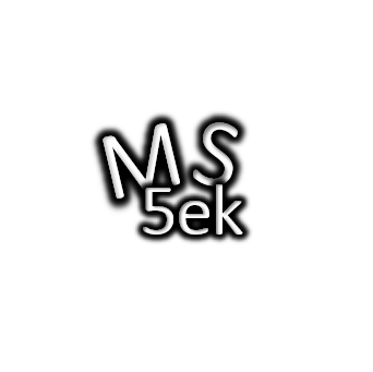 Mizarski servis 5ek - Logotip