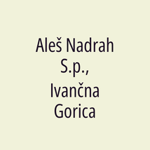 Aleš Nadrah S.p., Ivančna Gorica - Logotip