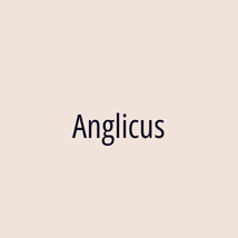 Anglicus - Logotip