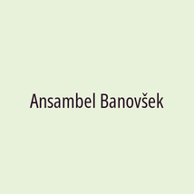 Ansambel Banovšek - Logotip