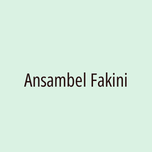 Ansambel Fakini - Logotip