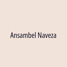 Ansambel Naveza - Logotip