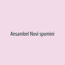 Ansambel Novi spomini - Logotip