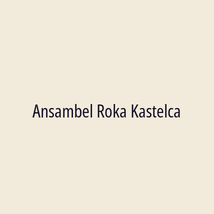 Ansambel Roka Kastelca - Logotip