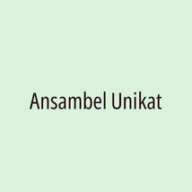 Ansambel Unikat - Logotip