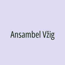 Ansambel Vžig - Logotip