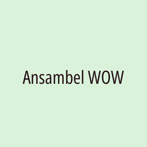 Ansambel WOW - Logotip