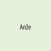 Anže  - Logotip