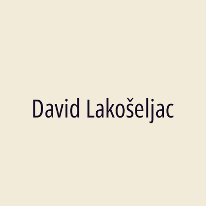 David Lakošeljac - Logotip