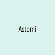 Astomi - Logotip