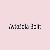 Avtošola Bolit - Logotip