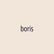 boris - Logotip