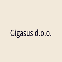 Gigasus d.o.o. - Logotip