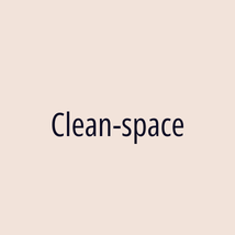 Clean-space - Logotip