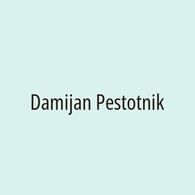 Damijan Pestotnik - Logotip