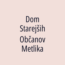 Dom Starejših Občanov Metlika - Logotip