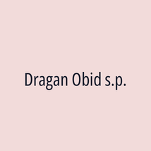 Dragan Obid s.p. - Logotip