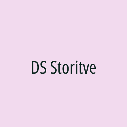 DS Storitve - Logotip