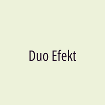 Duo Efekt - Logotip