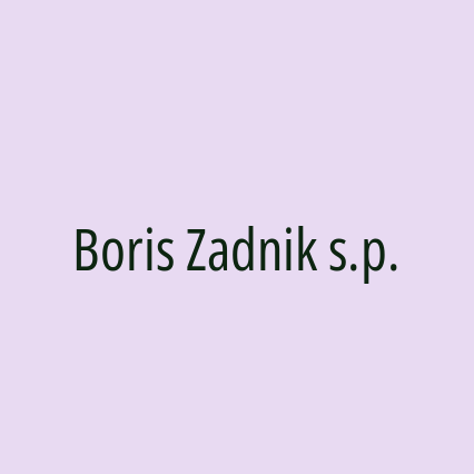 Boris Zadnik s.p. - Logotip