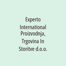 Experto International Proizvodnja, Trgovina In Storitve d.o.o. - Logotip