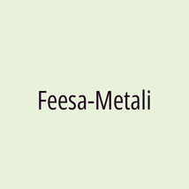 Feesa-Metali - Logotip