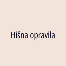 Hišna opravila - Logotip