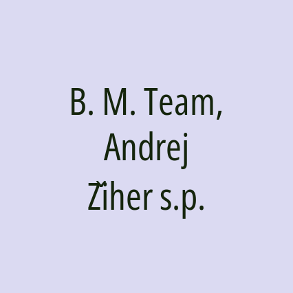 B. M. Team, Andrej Žiher s.p. - Logotip