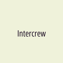 Intercrew - Logotip