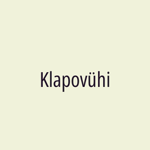 Klapovühi - Logotip