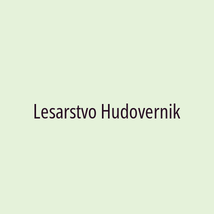 Lesarstvo Hudovernik - Logotip