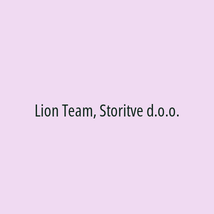 Lion Team, Storitve d.o.o. - Logotip