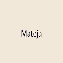 Mateja - Logotip