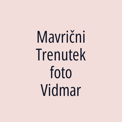 Mavrični Trenutek foto Vidmar - Logotip