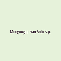 Mnogougao Ivan Antić s.p. - Logotip