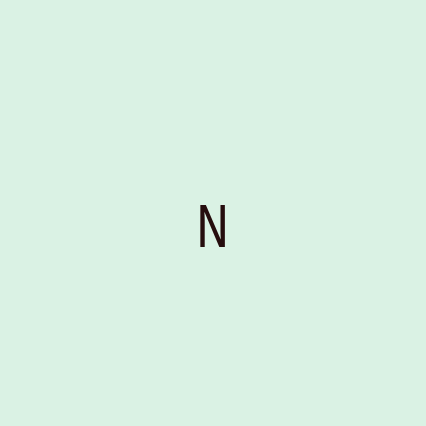 N - Logotip