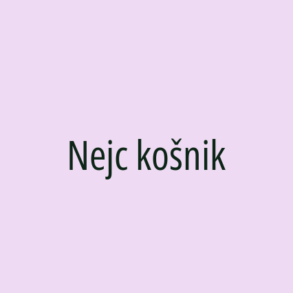 Nejc košnik - Logotip