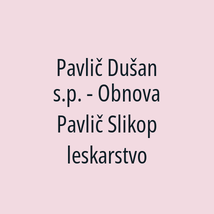 Pavlič Dušan s.p. - Obnova Pavlič Slikopleskarstvo - Logotip