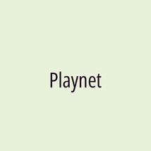 Playnet - Logotip