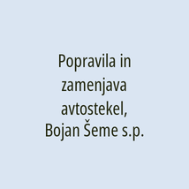 Popravila in zamenjava avtostekel, Bojan Šeme s.p. - Logotip